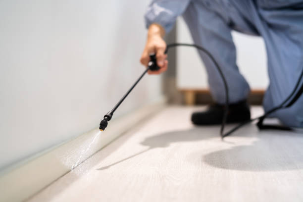 Licensed Pest Control service in Albion, IL - Show Me Pest Control